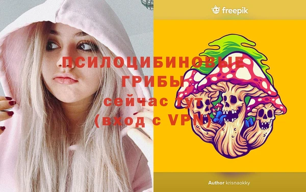apvp Балахна