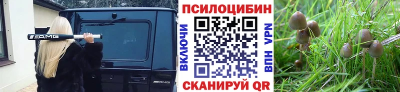 цены наркотик  Опочка  даркнет официальный сайт  Псилоцибиновые грибы Cubensis 
