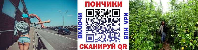 Бошки марихуана семена  Опочка 